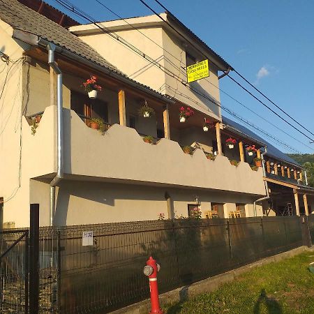 Pensiunea Casa Maria Vişeu de Sus Exteriér fotografie