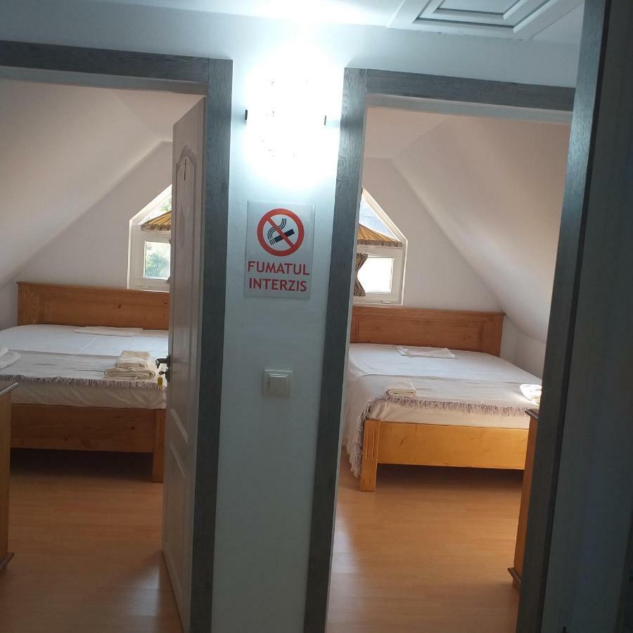 Pensiunea Casa Maria Vişeu de Sus Exteriér fotografie