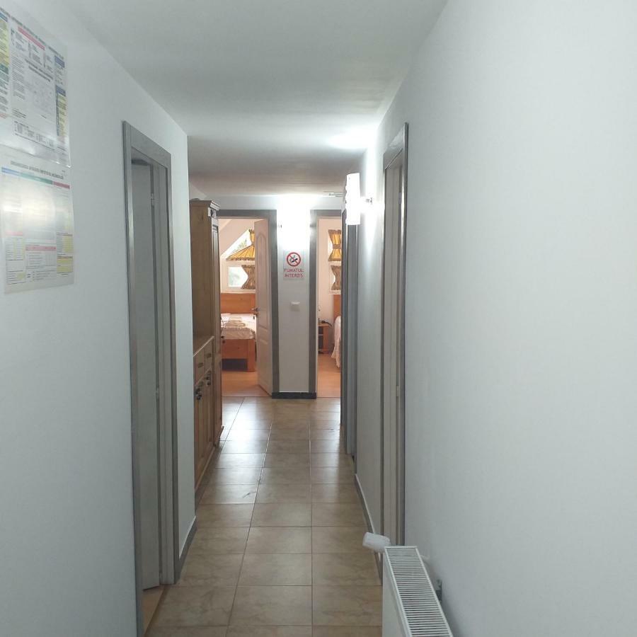 Pensiunea Casa Maria Vişeu de Sus Exteriér fotografie